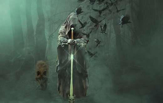 Magician wolf forest