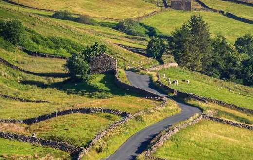 Landscape road online