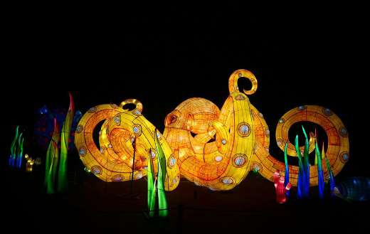 Party lampion online