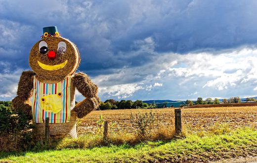Ginger bread hay on the farm