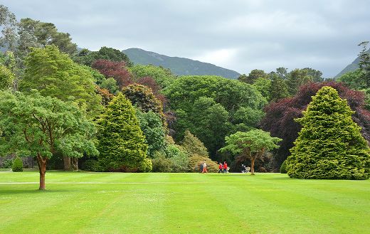Park landscape english garden