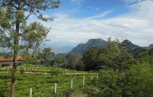 Beautiful scenery sky and landscape