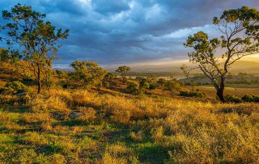 Golden landscape sunset