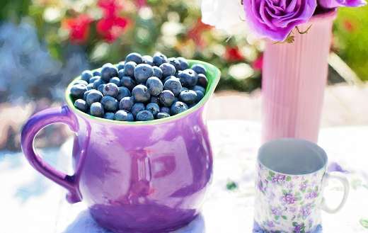 Blueberries fruits pitcher
