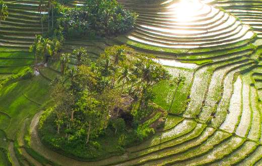 Garcia Hernandez Bohol Philippines