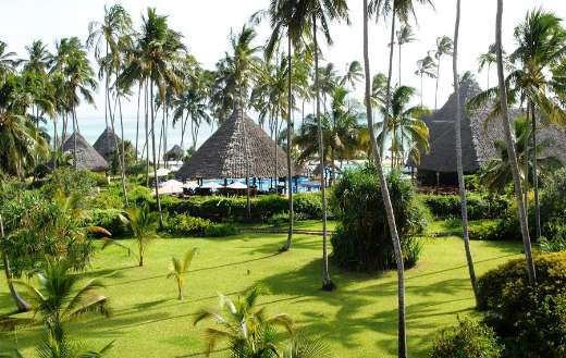 Tropical zanzibar ocean paradise