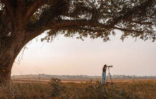 Woman standing under big tree