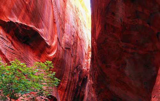 Slot canyon Utah landscape