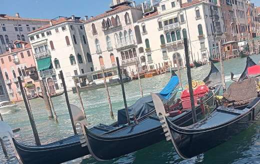 Boats line up online