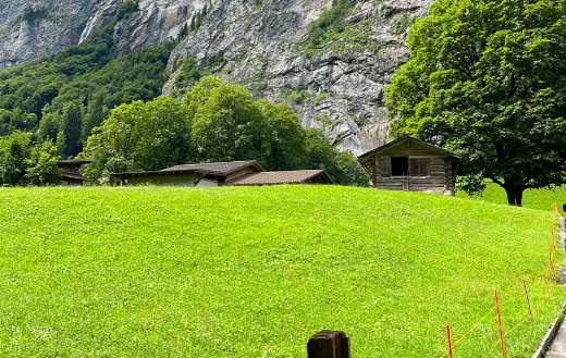 Greeny ground landscape