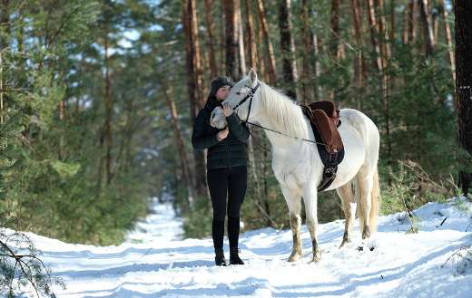 Horse with the owner