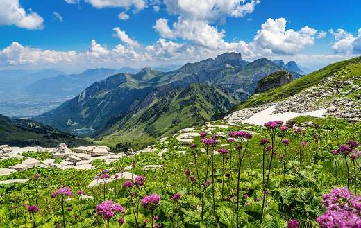 Chaserrugg mountain alps landscape