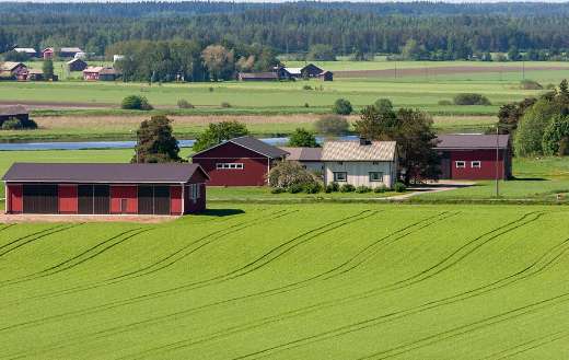 Countryside greeny farms
