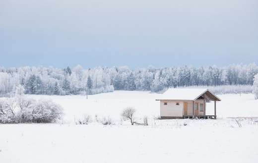 Forest cabin cottage surround with snow