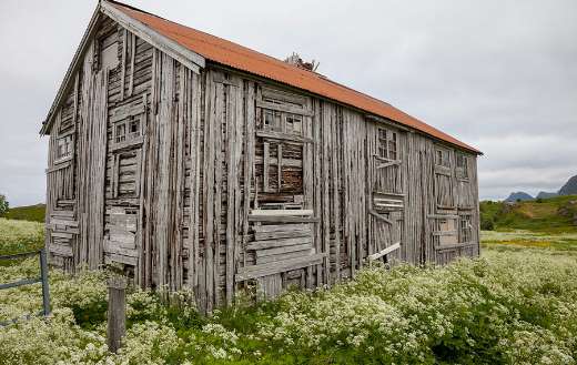 Wooden house abandoned flowers background