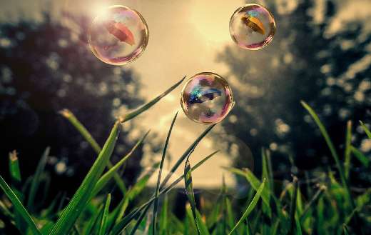 Soap bubbles over grass online