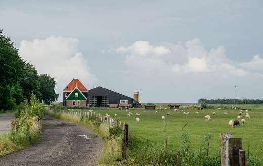 Countryside rural Netherlands online