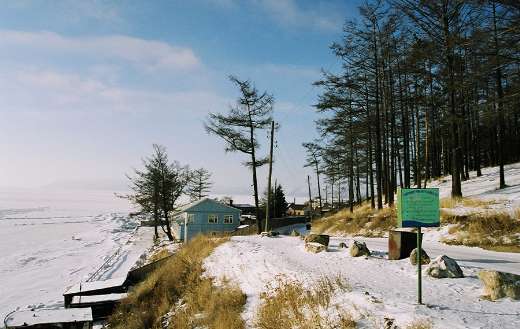 Snow landscpe online