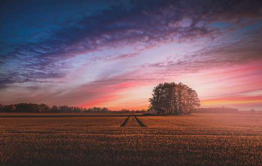 Sunset farm landscape puzzle