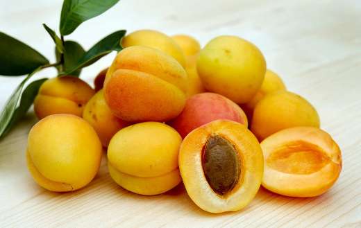 Apricots fruits ripe puzzle