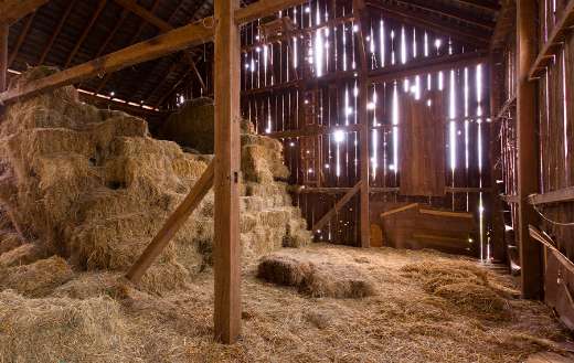 Barn hay straw bales background