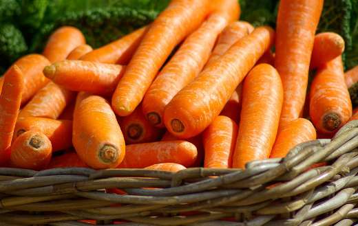 Basket of carrots online