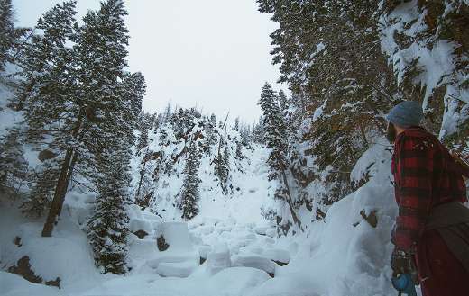 Man looking snow covered trees
