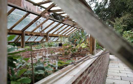 Potted plants herb garden puzzle