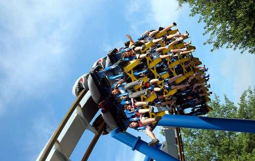 Roller coaster thrill puzzle