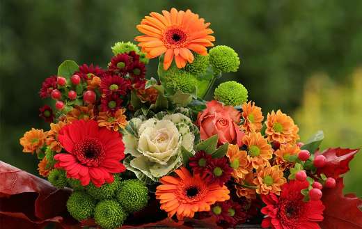 Chrysanthemums gerberas flowers bouquet