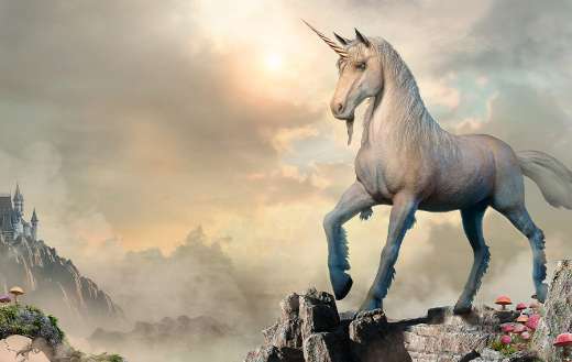 Unicorn fantasy illustration