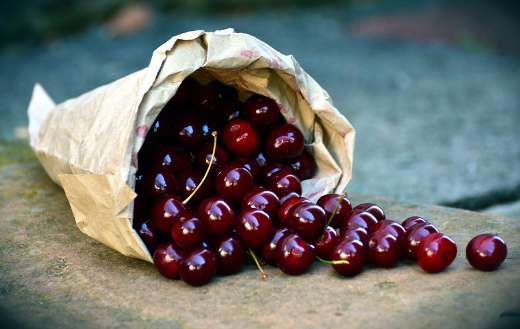 Bag cherries fruit puzzle