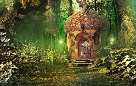 Deep forest scenery fairy house trees and plants