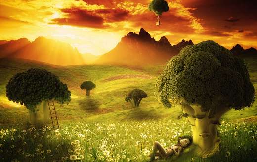 Fantasy broccoli land with elf sleeping