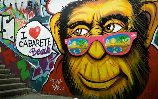 Gorilla wearing pink sunglasses