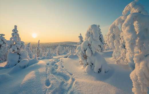 Winter landscape with snowshoes track