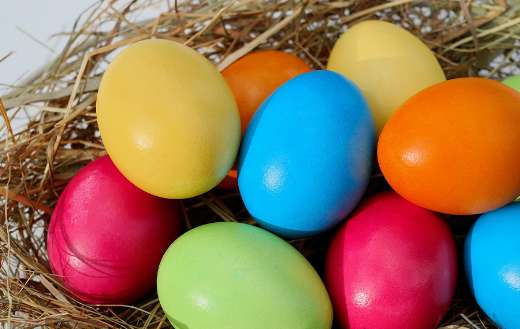 Colorful easter eggs nest