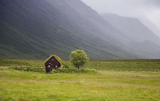 Green landscape online