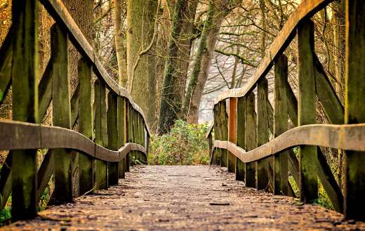 Wooden bridge park path