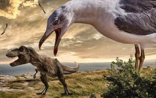 Gull dinosaur phehistoric