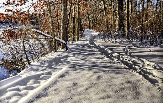 Path snow track puzzle