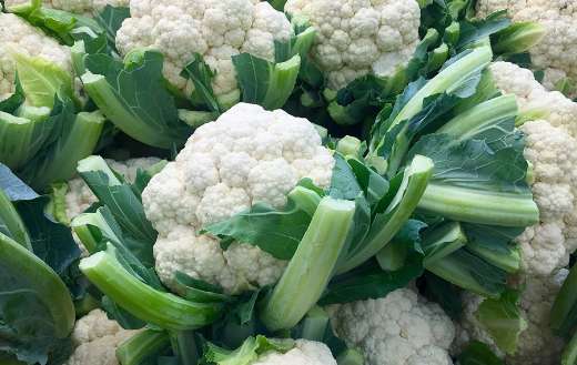 Cauliflower healthy vegetables