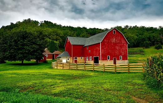 Red bard on the big farm area