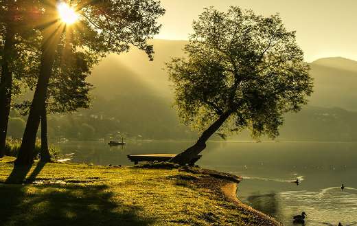 Summer landscape sunrise mood