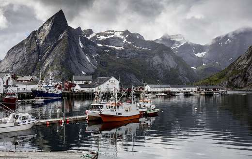 Moorage ships online