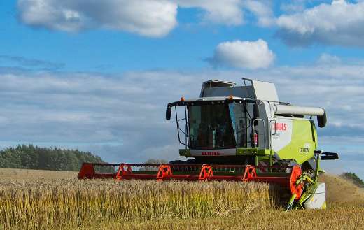 Barley field harvesting
