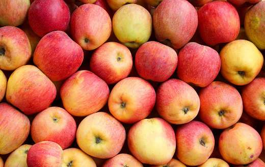 File of apples online