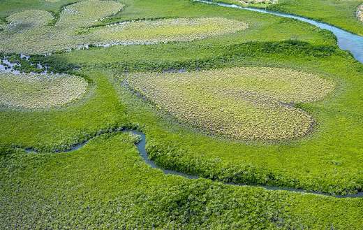 Heart of voh New Macedonia