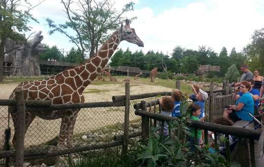 Taken Netherlands zoo