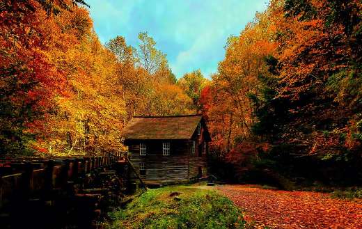Autumn smoky mountain